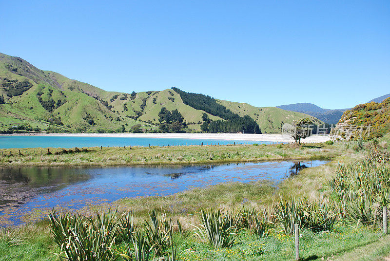Cable Bay, Nelson，新西兰